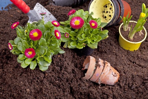 Hard landscaping project with paving and planting in Richmond upon Thames