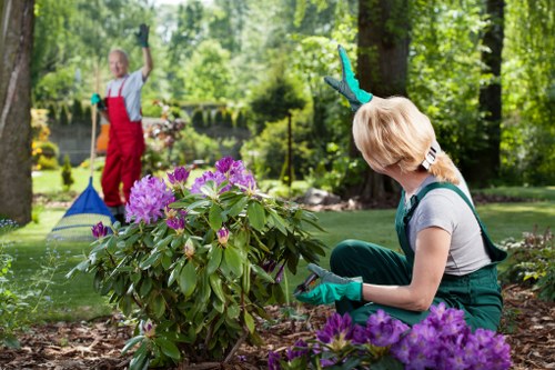 Elegant garden landscaping in Richmond upon Thames with structured planting