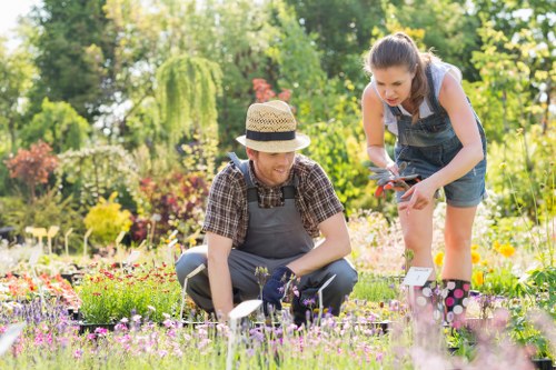 Garden service issue being recorded with supporting photographs