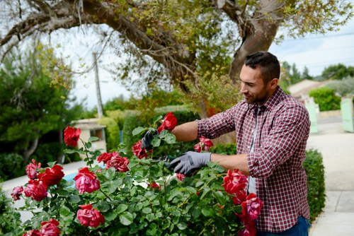 Landscaping terms and conditions introduction for Richmond upon Thames services