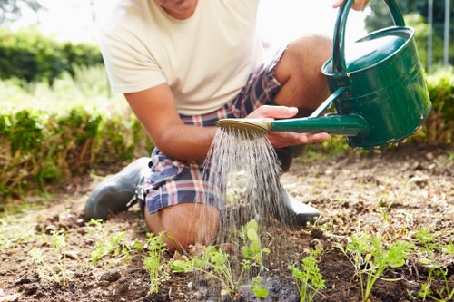 Management reviewing modern slavery compliance in landscaping