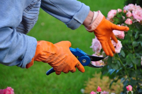 Landscapers reviewing a Richmond upon Thames garden pricing estimate