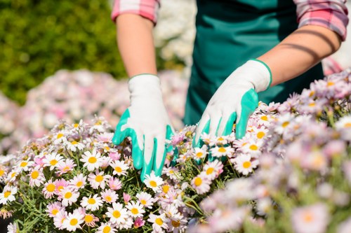 Booking process and acceptance details for garden landscaping services