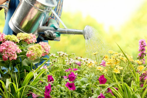 Evening garden lighting creating a welcoming outdoor space