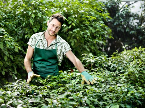 Stylish hard landscaping and planting in Richmond upon Thames