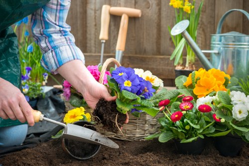 Commercial planting and border renewal for a property in Richmond upon Thames