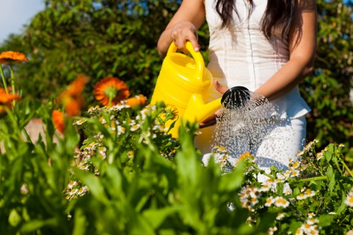 Health and safety policy for professional landscaping services