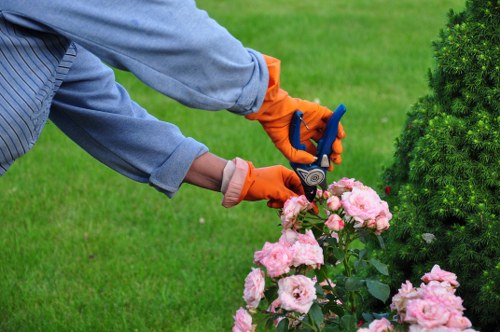Professional review of a landscaping complaint and remedial plan