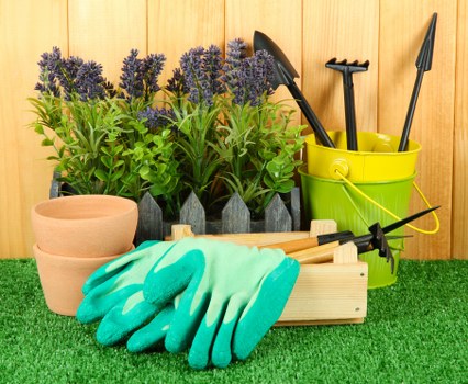 Supportive user experience for accessible landscaping information