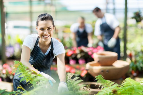 Residential garden soft landscaping with new turf and shrubs in Richmond upon Thames